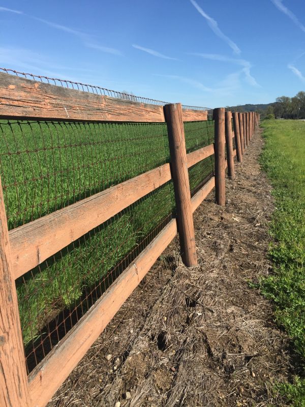 Wood Fence Construction in Pearland, TX
