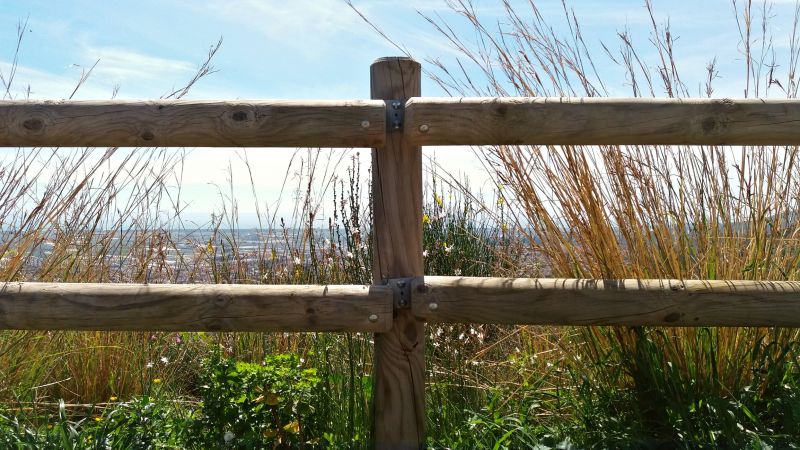 Wood Fence Installation in Pearland, TX