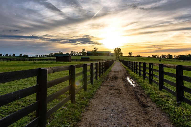 Wooden Farm Fence Installation in Pearland, TX